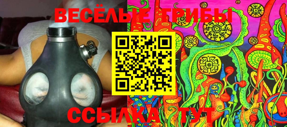 Псилоцибиновые грибы Cubensis Вязьма